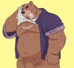 anthro belly blush bodily_fluids clothed clothing clothing_lift genitals kemono male moobs musclegut muscular overweight overweight_male penis pubes shirt shirt_lift solo sweat topwear araiguma_11 morenatsu juuichi_mikazuki bear mammal 2024