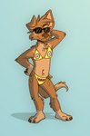 anthro bikini bikini_bottom bikini_top blue_background brown_body brown_fur brown_nose claws clothed clothing crossdressing cyan_background eyewear fur male shadow simple_background smile solo string_bikini sunglasses swimwear swimwear_only two-piece_swimsuit yellow_bikini yellow_clothing yellow_swimwear tinydeerguy despicable_me illumination_entertainment matt_riskely canid canine canis domestic_dog mammal minion_(despicable_me) hi_res