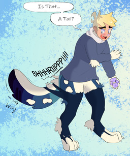 4_fingers 4_toes anthro blonde_hair blue_eyes claws clothing fangs feet fingers fluffy fur hair male pawpads purple_pawpads solo tail tail_motion tailwag teeth text toes torn_clothing transformation kintrum domestic_cat felid feline felis human mammal pantherine snow_leopard 2026 absurd_res english_text hi_res