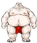 anthro asian_clothing bodily_fluids clothing east_asian_clothing fundoshi genitals japanese_clothing kemono male musk overweight overweight_male penis red_clothing red_fundoshi red_underwear simple_background solo sweat underwear white_background kotobuki bear mammal 2025 hi_res