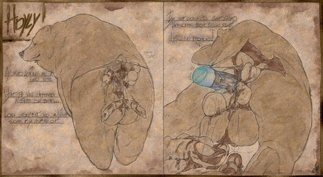 5_toes anal anal_beads anal_beads_in_ass anal_fisting anal_penetration anal_storage animal_dildo animal_genitalia animal_sex_toy anus backsack balls bat_dildo bear_ears big_balls big_dildo butt canine_dildo cavity_storage cetacean_dildo claws clothed clothing coprophilic_intercourse deep_anal_penetration deep_penetration dialogue dildo dildo_in_ass dildo_insertion dirty dirty_anal dirty_anus dirty_clothing dirty_fisting dirty_panties dirty_underwear disembodied_hand double_dildo excessive_feces extreme_penetration feces feces_covered feces_in_ass feces_on_anus feces_on_arm feces_on_ass feces_on_back feces_on_balls feces_on_body feces_on_butt feces_on_clothing feces_on_dildo feces_on_fur feces_on_genitals feces_on_ground feces_on_hand feces_on_self feces_on_sex_toy feces_on_tail feces_pile feet feral feral_lingerie feral_penetrated finger_claws fist fisting fluffy fluffy_tail fur fur_markings furgonomics genitals hair kangaroo_dildo knot knotted_dildo knotted_sex_toy large_penetration leaking_feces leaking_lube lingerie lingerie_malfunction lingerie_on_feral lingerie_only lingerie_panties logo looking_at_viewer looking_back lube lube_drip lube_from_ass lube_in_ass lube_on_anal_beads lube_on_anus lube_on_balls lube_on_butt lube_on_dildo lube_on_ground lube_on_object lube_on_perineum lube_on_sex_toy lube_string lubed lubed_dildo lubed_sex_toy lying male male_feral male_fisted male_penetrated mane mane_hair markings mostly_nude multiple_insertions multiple_penetration multiple_toys object_in_ass object_in_feces object_penetration on_front on_ground pawpads paws penetrating_with_multiple penetration perineum plantigrade quadruped raised_tail rear_view scatplay sex_toy sex_toy_in_ass sex_toy_insertion sex_toy_pull_out short_ears short_fur short_tail simple_background small_ears small_tail solo standing stretched_anus tail text textured_background thong three-quarter_view tight_clothing tight_fit tight_underwear toe_claws toes underwear underwear_only ursine_dildo ursine_ears hdyly kuruk_(character) bear brown_bear grizzly_bear mammal ursidae ursine 2025 absurd_res artist_logo artist_name digital_drawing_(artwork) digital_media_(artwork) english_text hi_res monochrome shaded signature sketch