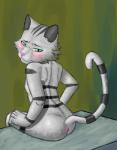 anthro anus arched_back biped blush butt fur green_eyes grey_body grey_fur long_tail looking_back male raised_tail sitting solo stripes tail tairenukitty jewelpet sanrio sega sega_fave tour_(jewelpet) domestic_cat felid feline felis mammal absurd_res hi_res