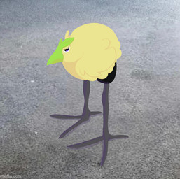 3_toes ambiguous_gender beak black_body concrete feathers feet feral green_beak green_body green_feathers grey_body grey_legs long_legs solo toes anonymous_artist nintendo pokemon pokemon_winds_and_waves pukeko_(meme) avian browt generation_10_pokemon pokemon_(species) 2026 absurd_res comment_chain hi_res lol_comments meme