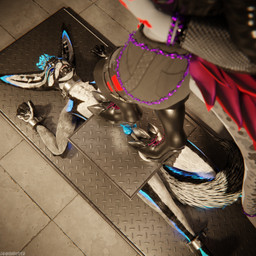 animal_genitalia animal_penis anthro anthro_on_anthro arms_tied ball_crush ball_squeeze balls basement bdsm biped black_body black_boots black_clothing black_footwear black_fur black_shoes blue_body blue_fur blue_penis bodily_fluids bondage boot_on_balls boot_on_penis boots bound breasts canine_genitalia canine_penis claws clothed clothing cock_and_ball_torture cockbox crush cuff_(restraint) cum cum_dripping_from_penis cum_on_penis depth_of_field dominant duo erection feet female flat_balls foot_crush foot_fetish foot_on_balls foot_on_penis foot_play footwear fur genital_fluids genital_torture genitals goth_boots grey_body grey_fur hair hindpaw inside jacket knot leather leather_boots leather_clothing leather_footwear leather_jacket leather_topwear legs_tied legwear male male/female metal_cuffs moan multicolored_body nude on_ground open_mouth orgasm pain paws penis penis_squeeze piercing reflection restraints sex shirt shoes shoes_on slim slim_anthro slim_male slim_sub smile standing standing_on_balls submissive submissive_male tail topwear torture trampling white_body white_fur dragonplayer dragonplayer_(character) rainsoar canid canine canis fox hybrid jex mammal nardoragon rexouium 1:1 3d_(artwork) absurd_res blender_(artwork) blender_cycles_(artwork) digital_media_(artwork) hi_res