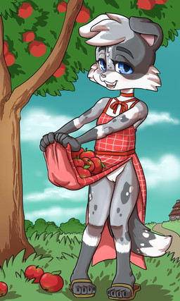 4_toes anthro apple biped black_claws black_eyebrows blue_eyes blue_sky blush blush_lines blushing_at_viewer brown_clothing brown_footwear brown_sandals brown_shoes building cheek_tuft claws clothed clothed_anthro clothed_female clothing clothing_lift cloud countershade_face countershade_fur countershade_neck countershade_torso countershading day dipstick_tail dress dress_lift eyebrows eyelashes facial_tuft feet female female_anthro fingers flat_chested food footwear fruit fur fur_markings genitals gloves_(marking) grass grey_body grey_fur grey_markings house humanoid_genitalia humanoid_hands humanoid_vulva innie_vulva leg_markings looking_at_viewer markings multicolored_body multicolored_fur no_underwear open_mouth open_smile outside pattern_clothing pattern_dress pigeon_toed pink_nose plant plantigrade pupils red_clothing red_dress sandals shoes sky smile smiling_at_viewer socks_(marking) solo standing tail tail_markings teeth toe_claws toes tree tuft vulva white_body white_countershading white_fur white_markings white_sclera white_tail_tip young young_anthro young_female daigaijin canid canine canis domestic_dog mammal 3:5 full-length_portrait hi_res portrait
