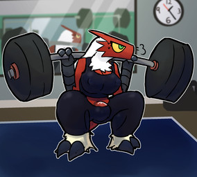 anthro bottomwear breasts bulge clock clothing exercise genitals gym gynomorph intersex mirror pants penis solo sweatpants tight_clothing weightlifting workout otterjunk nintendo pokemon carol_(otterjunk) avian blaziken generation_3_pokemon pokemon_(species) hi_res trans_(lore) trans_woman_(lore)