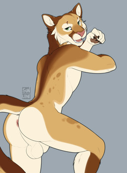anthro brown_body brown_fur fur genitals green_eyes grey_background male penile_spines penis pose simple_background solo whiskers white_body white_fur sunliine rikki_(purrma) cougar felid feline mammal 2026 absurd_res hi_res pinup