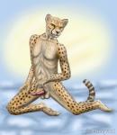 abs anthro balls black_nose erection genitals looking_at_viewer male muscular muscular_anthro muscular_male nude penile_spines penis pose solo spots tapering_penis cheepard cheepard_(character) cheetah felid feline mammal hi_res