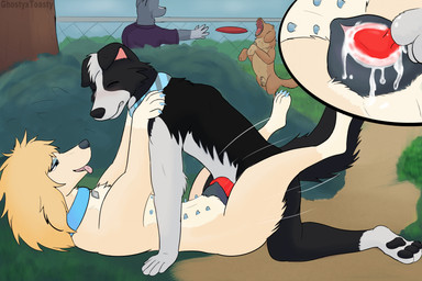 animal_genitalia animal_penis animal_vulva anthro anthro_on_feral anthro_penetrating anthro_penetrating_feral balls bedroom_eyes bestiality blonde_hair blush bodily_fluids canine_genitalia canine_penis canine_vulva claws clenched_teeth close-up collar colored_nails cum cum_inside dog_park duo ejaculation erection female female_feral female_penetrated fence feral feral_penetrated frisbee from_front_position fur genital_fluids genitals grass hair intraspecies intraspecies_bestiality knot knot_root knotted_penis knotting leaking_cum lying makeup male male/female male_on_feral male_penetrating male_penetrating_female missionary_position multi_nipple nails narrowed_eyes nipples on_back outside penetration penile penile_penetration penis plant public public_sex seductive sex sheath shrub teeth teeth_showing tongue tongue_out tree vaginal vaginal_knotting vaginal_penetration vulva yellow_body yellow_fur ghostyxtoasty moon_(selenianskye) roslyne_(ghostyxtoasty) border_collie canid canine canis collie domestic_dog herding_dog mammal pastoral_dog poodle sheepdog 3:2 absurd_res hi_res