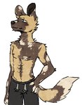 4_fingers african_wild_dog anthro black_bottomwear black_clothing black_pants bottomwear canid canine clothed clothing colored digital_media_(artwork) dipstick_tail fingers fluffy fur fur_markings looking_away male mammal markings muscular muscular_male pants simple_background smile solo standing tail tail_markings topless topless_male vedacia white_background