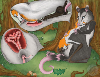 4_toes 5_fingers 5_toes 69_position 6_nipples acorn against_natural_surface against_surface against_tree anatomically_correct anatomically_correct_anus anatomically_correct_cloaca anatomically_correct_genitalia anatomically_correct_penis animal_genitalia animal_penis animal_vulva anus arm_markings aroused balls barely_visible_teeth belly_nipples bite black_body black_cloaca black_ears black_fur black_hands black_markings black_skin black_tail blue_eyes bodily_fluids branch brown_balls brown_body brown_ears brown_eyes brown_feet brown_fur brown_nose brown_penis brown_skin brown_tail brown_wings cervix chiropteran_penis claws cloaca cloaca_juice cloacal cloacalingus continuation countershading cunnilingus curved_tail cutaway deep_cunnilingus detailed_background dipstick_ears dipstick_tail dominant dominant_female dripping duo ear_markings educational educational_porn erection eye_markings eyespots facial_markings fangs feet female female_feral female_penetrated feral feral_on_feral feral_penetrated feral_penetrating feral_penetrating_female feral_penetrating_feral finger_claws fingerless_(marking) fingers food foot_markings fruit fur fur_markings furry_tail genital_fluids genitals grass grey_body grey_fur grinning_at_partner guard_hair hand_markings hand_on_back hanging_by_feet hanging_from_another head_markings internal internal_pouch internal_vaginal leaf leg_markings licking light long_ears long_tail long_tongue looking_at_another lying male male/female male_feral male_penetrating male_penetrating_female markings marsupial_genitalia marsupial_vulva membrane_(anatomy) membranous_wings monotone_anus monotone_balls monotone_feet monotone_genitals monotone_markings monotone_penis monotone_wings multi_cervix multi_nipple multi_teat multi_uterus multi_vaginal_canals multicolored_body multicolored_ears multicolored_fur multicolored_skin multicolored_tail nipples nut_(fruit) on_ground oral orange_body orange_fur orange_tail orange_tuft outside ovaries paws penetration penile penile_penetration penile_spines penis penis_in_pouch perineum perineum_lick pink_anus pink_body pink_cloaca pink_ears pink_hands pink_insides pink_nipples pink_nose pink_paws pink_skin pink_tail pink_tongue plant plantigrade pouch_(anatomy) pouch_penetration pouch_play precum precum_drip prehensile_tail prehensile_tongue rat_tail realistic_wings red_insides sex side_view sitting sitting_69_position sitting_on_ground slight_smile slightly_open_mouth small_anus sunlight tail tail_bite tail_in_mouth tail_markings tapering_tongue teats teeth the_more_you_know threading three-quarter_view tight_balls toe_claws toeless_(marking) toes tongue tongue_out tongue_penetration tragus tree tuft two_tone_body two_tone_hands two_tone_skin two_tone_tail uterus vaginal vaginal_canal vaginal_fluids vulva webbed_feet whisker_spots whiskers white_body white_claws white_ears white_fur white_tail white_whiskers wings x-ray_view cosmicgryphon jack_desmodus kali_denise american_opossum bat flying_fox ghost_bat grey-headed_flying_fox hybrid leaf-nosed_bat mammal marsupial megabat megadermitid microbat painted_bat spotted_bat tube-lipped_nectar_bat vampire_bat vesper_bat virginia_opossum water_opossum white-eared_opossum yangochiropteran 2026 absurd_res digital_media_(artwork) digital_painting_(artwork) hi_res painting_(artwork) shaded signature watermark female_(lore)
