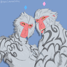 black_sclera duo fangs fur grey_body grey_fur looking_at_viewer looking_down male scar simple_background tattoo teeth yellow_eyes tookli_monkeiking epic_games fortnite kozaru_(fortnite) haplorhine japanese_macaque macaque mammal monkey old_world_monkey primate 1:1 hi_res signature