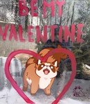 brown_body dot_eyes feral heart_symbol holidays real solo text tongue tongue_out white_body pachi_mapache valentine's_day mammal procyonid raccoon 2022 hi_res