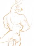 anthro biceps butt fur looking_at_viewer male muscular muscular_anthro muscular_male nude open_mouth simple_background solo standing cobaltcerberus secrets_of_the_wild:_spring_break kangaroo macropod mammal marsupial 2017 digital_drawing_(artwork) digital_media_(artwork)