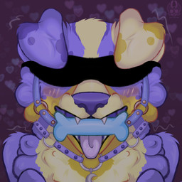 anthro aroused bdsm belt bone_gag collar fluffy fur gag male multicolored_body multicolored_fur neck_tuft purple_body purple_fur solo tongue tongue_out tuft yellow_body yellow_fur airymiller canid canine mammal bust_portrait hi_res portrait