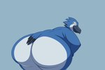 anthro big_butt blue_body blue_feathers butt butt_focus feathers female huge_butt looking_at_viewer nude nude_female obese overweight overweight_female solo twerking shenzel avian animated hi_res short_playtime