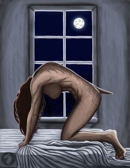 anthro areola bed bedding bedroom blanket breasts brown_body brown_fur brown_hair butt female forest forest_background full_moon fur furniture hair hanging_breasts inside knight long_hair mid_transformation moon muscular nature nature_background nipples nude on_bed plant solo transformation tree warrior window blueravenfire mythology canid canine human mammal mythological_canine mythological_creature werecanid werecanine werecreature werewolf signature
