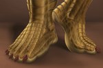 feet foot_fetish foot_focus humanoid_feet malesaras plantigrade solo sidmonthebear mythology baaz draconian dragon mythological_creature mythological_scalie scalie 3:2 hi_res