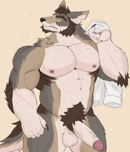 5_fingers abs anthro arm_tuft balls beard biped black_nose brown_beard brown_body brown_eyebrows brown_facial_hair brown_fur brown_hair brown_pubes brown_tail claws clothing elbow_tuft erection eyebrows facial_hair facial_scar fangs finger_claws fingers fur genitals glans glistening glistening_eyes glistening_genitalia glistening_glans glistening_penis grey_body grey_fur grey_tail hair half-closed_eyes holding_clothing holding_object holding_shirt holding_topwear humanoid_genitalia humanoid_penis male male_anthro multicolored_body multicolored_fur multicolored_tail muscular muscular_anthro muscular_male narrowed_eyes navel nipples notched_ear nude nude_anthro nude_male orange_body orange_fur orange_tail pecs penis pink_glans pink_nipples pubes scar shirt simple_background solo sparkles tail tan_balls tan_body tan_fur tan_penis teeth text topwear tuft vein veiny_penis isaacyote echo_(series) echo_project the_smoke_room william_adler canid canine canis coyote mammal 2023 artist_name digital_media_(artwork) hi_res watermark