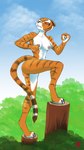 abs anthro areola athletic female fighting_pose looking_at_viewer muscular muscular_female nipples nude pose ready_to_fight solo harkrun dreamworks kung_fu_panda master_tigress felid mammal pantherine tiger 9:16 hi_res