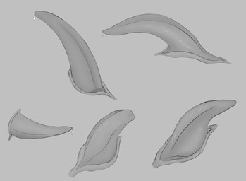 animal_genitalia animal_penis bodily_fluids cetacean_genitalia cetacean_penis disembodied_penis erection genital_fluids genital_shot genital_slit genitals male penis penis_shot precum tapering_penis zero_pictured santo_fabbro aquatic cetacean mammal hi_res monochrome shaded