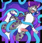 ahegao anal anal_penetration anthro anthro_penetrated balls bedroom_eyes blue_tentacles bodily_fluids cheek_tuft dripping drooling erection facial_tuft felid fur genitals grey_body grey_fur hair half-closed_eyes heart_symbol hi_res humanoid_genitalia humanoid_penis looking_pleasured male male_penetrated mammal markings narrowed_eyes nude open_mouth pantherine penetration penis purple_hair purple_spots saliva saliva_drip saliva_string seductive sex snow_leopard solo_focus sparkibarki spots spotted_body spotted_fur spotted_markings tentacle_in_ass tentacle_penetrating_male tentacle_penetration tentacle_sex tentacles tongue tongue_out tuft white_body white_fur