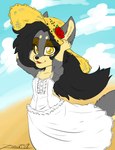 anthro beach big_hat clothing cloud dress female hair long_hair outside seaside solo wind young young_anthro zooshi zoosie canid canine canis mammal wolf 2018 hi_res