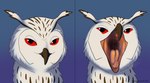 ambiguous_gender anthro beak black_beak bodily_fluids feathers looking_at_viewer mouth_shot open_mouth pink_tongue red_eyes saliva saliva_on_tongue saliva_string solo tongue white_body white_feathers aurorabound thieu_(thieutheowl) avian bird owl absurd_res hi_res sequence