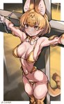 bikini bow_ribbon breasts chain clothed clothing crucifixion cuff_(restraint) female fur ipalpua legwear restraints shackles skimpy solo swimwear tail thigh_highs two-piece_swimsuit yellow_eyes iparupua kemono_friends serval-chan humanoid absurd_res hi_res