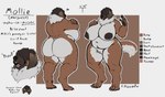 anthro areola big_areola big_breasts big_butt blinding_bangs breasts brown_body butt claws digitigrade ear_piercing feet female fur genitals hair hair_over_eyes huge_breasts huge_butt mature_female multicolored_body neck_tuft nipples nude open_mouth overweight overweight_female pawpads piercing pussy simple_background smile solo standing tail teeth text thick_thighs tongue tuft two_tone_body white_body white_fur wide_hips jezzlen mollie_(jezzlen) canid canine canis domestic_dog mammal english_text hi_res model_sheet