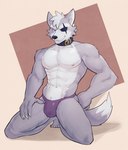 5_toes abs anthro black_nose bulge clothed clothing collar feet fur grey_body grey_fur kneeling looking_at_viewer male muscular muscular_anthro muscular_male pecs simple_background smile solo thong toes underwear underwear_only jrjresq nintendo star_fox wolf_o'donnell canid canine canis mammal wolf 2022 hi_res