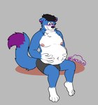 anthro belly belly_grab blue_body blue_fur blush boxers_(clothing) boxers_only bulge clothed clothing floppy_ears fluffy fluffy_tail flustered fur hair long_tail male moobs navel neck_tuft nervous nipples overweight overweight_male paws pink_nipples solo tail topless tuft underwear underwear_only white_chest white_paws silixnh_(artist) silix_(silixnh) canid canine mammal hi_res