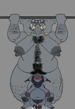 anthro areola arm_hair armpit_hair balaclava bald ball_ring ball_weights balls balls_deep bangs belly belly_hair big_belly big_breasts big_butt big_penis bodily_fluids body_hair breasts butt chest_hair chin_up crossbar crouching cum cum_while_penetrated deep_throat duo ear_piercing ear_ring ejaculation elderly elderly_anthro elderly_gynomorph elderly_intersex erection exercise fellatio foreskin fupa genital_fluids genitals grey_areola grey_balls grey_body grey_hair grey_penis grey_skin gynomorph hair hairy hairy_balls hairy_fupa hairy_legs hands_behind_back head_back huge_belly huge_breasts huge_hips huge_penis huge_thighs humanoid_genitalia humanoid_penis hyper hyper_genitalia hyper_penis intersex intersex/intersex lipstick makeup mask mask_only montgomery_glands musclegut muscular muscular_anthro muscular_gynomorph muscular_intersex muscular_thighs navel nipples nubbed_penis nude nude_exercise obese obese_anthro obese_gynomorph obese_intersex open_mouth oral oral_penetration overweight overweight_anthro overweight_gynomorph overweight_intersex penetration penile penis piercing proboscis_(anatomy) pubes pull-up_(exercise) pushing_down ring_piercing saggy_balls sex sexercise shaved_head simple_background sitting size_difference small_penis spread_legs spreading thick_thighs trunk_(anatomy) tusk_ring tusks vein veiny_penis white_hair wide_hips yellow_eyes zeros_dick fanny_mcphee wei-gang_(grannybase) asian_elephant domestic_cat elephant elephantid felid feline felis hybrid lynx mammal proboscidean 2025 absurd_res colored digital_drawing_(artwork) digital_media_(artwork) flat_colors hi_res