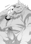 anthro balls clothed clothing erection genitals humanoid_genitalia humanoid_penis male penis simple_background solo tongue tongue_out white_background konbu gingitsune gintaro canid canine fox mammal 2016 monochrome