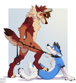 anthro bdsm black_body black_fur blue_background blue_body blue_fur blush claws collar dominant dominant_anthro dominant_male duo feet finger_claws foot_fetish foot_on_crotch fur leash leash_pull leashed_collar male male/male markings multicolored_body multicolored_fur nude_anthro nude_male orange_body orange_fur paws red_body red_fur side_view simple_background sitting spots spotted_body spotted_fur standing stepped_on submissive submissive_anthro submissive_male tan_body tan_fur toe_claws white_background white_body white_fur remywolf canid canine canis domestic_dog husky mammal nordic_sled_dog spitz hi_res