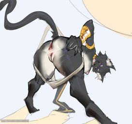 anthro anus black_body breasts butt collar female genitals gold_(metal) gold_collar gold_jewelry jewelry low-angle_view makeup metal_collar nipples simple_background solo spread_butt spreading tail text thick_thighs vulva white_body strawberry_lynx bacardi_(muart242) domestic_cat felid feline felis mammal absurd_res hi_res url