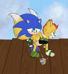 anus balls bodily_fluids butt butt_grab cum cum_on_ground duo ejaculation genital_fluids genitals hand_on_butt handjob knot knot_squeeze male mangey outside outside_sex penile sex yellow_anus nedrik netflix sega sonic_prime sonic_the_hedgehog_(series) mangey_(sonic_prime) miles_prower sonic_the_hedgehog canid canine eulipotyphlan fox hedgehog mammal hi_res