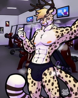 after_exercise anthro antlers being_watched bodily_fluids bulge clothed clothing electronics finger_heart fur genitals group gym hair horn looking_at_another looking_at_viewer male markings muscular muscular_anthro muscular_male musk musk_cloud nipples open_mouth public silhouette solo_focus spots spotted_body spotted_fur sweat sweaty_body sweaty_legs sweaty_thighs tail television underwear underwear_only tael matteo_(per0xide) cheetah felid feline mammal absurd_res digital_media_(artwork) hi_res