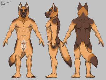 abs animal_genitalia animal_penis anthro balls bodily_fluids brown_body butt canine_genitalia canine_penis feet fingers fur genitals lipsticking looking_at_viewer male muscular muscular_anthro muscular_male nipples nude pecs penis penis_tip rear_view sheath simple_background smile solo standing tail toes rov canid canine canis domestic_dog german_shepherd herding_dog mammal pastoral_dog digital_media_(artwork) hi_res model_sheet