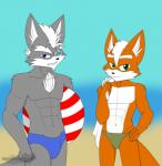 anthro beach clothing detailed_background duo male outside sand seaside speedo swimwear blackwingedheart87 nintendo star_fox fox_mccloud wolf_o'donnell canid canine canis fox mammal wolf hi_res