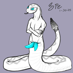 2_penises 5_fingers animal_genitalia animal_penis apode big_tail black_tongue cloaca cloacal_penis crossed_arms fingers forked_tongue front_view genitals grey_markings hemipenes horizontal_cloaca humanoid_hands legless leucistic long_neck long_tail looking_at_viewer male markings multi_genitalia multi_penis nude pecs penis pupils purple_background rattle_(anatomy) scale_markings scales serpentine simple_background slit_pupils snout solo tail tapering_penis tapering_tail teal_cloaca teal_eyes teal_penis thick_tail tongue tongue_out ventral_scales white_body white_scales spe spek_(spe) draconcopode naga pit_viper rattlesnake reptile scalie snake snake_naga viper western_diamondback_rattlesnake 1:1 2025 absurd_res dated digital_drawing_(artwork) digital_media_(artwork) flat_colors hi_res signature sketch sketchbook_(artwork)