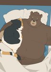 anthro bedding belly big_belly black_body black_nose blanket duo eyes_closed kemono lying male pillow sleeping haoming bear domestic_cat felid feline felis mammal 2023 hi_res