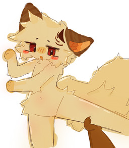 ambiguous_gender blush disembodied_hand duo shaopi(tuboshu) domestic_cat felid feline felis mammal absurd_res hi_res