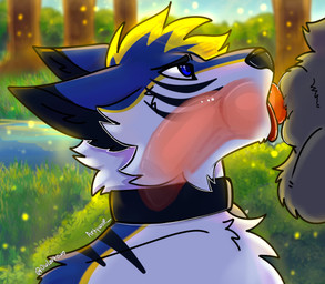 anthro blue_body blue_eyes blue_fur collar deep_throat duo fellatio forest fur genitals grey_body grey_fur internal internal_oral knot knotted_penis knotting lake male male/male oral oral_knotting oral_penetration penetration penile penis plant sex tongue tree water artywolf bluefiger digitfox canid canine canis mammal wolf hi_res