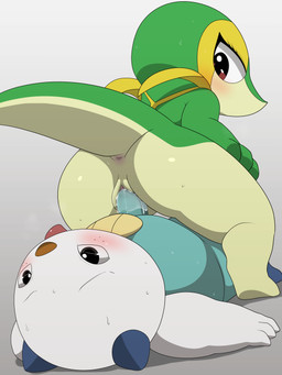 3_fingers anthro anthro_on_anthro anthro_on_bottom anthro_on_top anthro_penetrated anthro_penetrating anthro_penetrating_anthro anus biped black_eyebrows black_eyes blue_body blue_fur blue_penis blush bodily_fluids butt cum cum_in_vagina cum_inside duo erection eyebrows eyelashes female female_anthro female_on_top female_penetrated fingers freckled_face freckles fur genital_fluids genitals glistening glistening_butt glistening_eyes green_body green_tail grey_background humanoid_genitalia humanoid_penis looking_at_another looking_at_partner looking_back looking_back_at_another looking_back_at_partner lying male male/female male_anthro male_on_bottom male_penetrating male_penetrating_female multicolored_body multicolored_fur multicolored_tail non-mammal_vulva nude nude_anthro nude_female nude_male on_back on_bottom on_top penetration penile penile_penetration penis penis_in_vagina pink_anus red_eyes reverse_cowgirl_position scalchop seashell sex shell simple_background sweat sweaty_body sweaty_butt sweaty_face tail tan_body tan_tail tapering_tail thin_eyebrows tongue tongue_out two_tone_body two_tone_fur vaginal vaginal_penetration vulva white_body white_fur yellow_body winick-lim nintendo pokemon generation_5_pokemon mammal mustelid oshawott pokemon_(species) reptile scalie snivy 2022 3:4 absurd_res digital_media_(artwork) hi_res