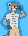 anthro aviator_glasses black_nose clothing eyewear glasses inner_ear_fluff male multicolored_body shirt simple_background solo t-shirt text topwear tuft manofmanyfaces mammal procyonid raccoon english_text hi_res meme shaded simple_shading