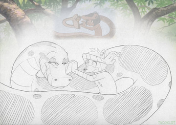 anthro duo eyelashes female feral fur hair larger_feral male male/female nude serpentine simple_background size_difference smile tacokurt disney the_jungle_book felpur inkanyamba kaa_(jungle_book) anaconda boa_(snake) boinae mammal procyonid python raccoon reptile scalie snake hi_res reference_image sketch