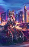 anthro bicycle braided_hair breasts building city cleavage clothed clothing detailed_background ear_piercing female hair looking_at_viewer outside piercing skyline skyscraper smile solo standing vehicle hihikori tyskha felid mammal 2018 digital_media_(artwork) hi_res signature