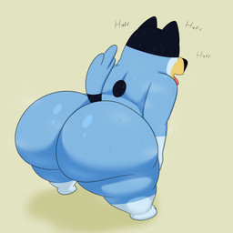 anthro bent_over big_butt breath bubble_butt butt fur grey_background huge_butt huge_thighs male nude open_mouth panting shadow simple_background solo sound_effects standing text thick_thighs tongue tongue_out tuft colossalstars bluey_(series) bandit_heeler australian_cattle_dog canid canine canis cattledog domestic_dog herding_dog mammal pastoral_dog 1:1 2023 absurd_res english_text hi_res