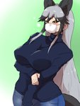 big_breasts big_ears black_hair blush bodily_fluids bottomwear breasts clothed clothing denim denim_bottomwear denim_clothing face_mask female grey_hair hair inner_ear_fluff jeans long_hair multicolored_hair pants solo sweat sweatdrop sweater topwear tuft turtleneck yellow_eyes isna kemono_friends silver_fox_(kemono_friends) animal_humanoid canid canid_humanoid canine canine_humanoid fox_humanoid humanoid mammal mammal_humanoid 3:4 hi_res